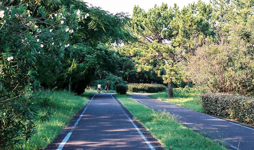 Nhat Ban dep mo mang thoi khac chuyen mua sang thu 4